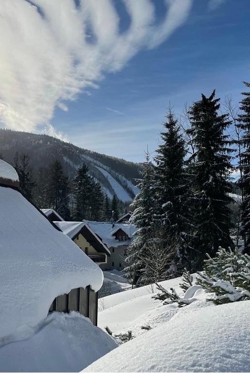 Garage Harrachov Apartman Kültér fotó